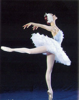 XV International Ballet Festival MARIINSKY
Click to enlarge
