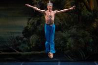 NIGHT OF RUSSIAN BALLET. Fragments of famous ballets